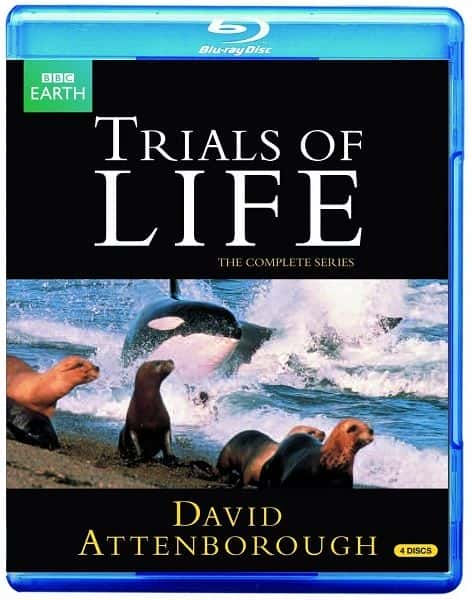 ¼Ƭ/Trials of Life-Ļ