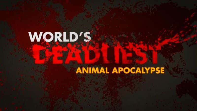 ¼ƬĶʾ¼/World's Deadliest Animal Apocalypse-Ļ