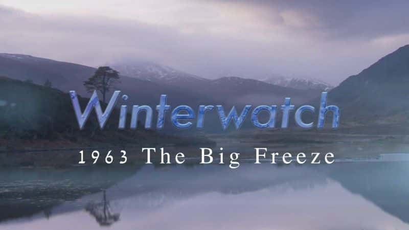 ¼Ƭ1963궬۲죺󶳽/Winterwatch 1963: The Big Freeze-Ļ