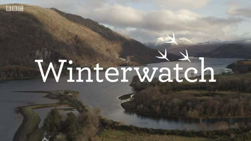 ¼Ƭ2021궬۲/Winterwatch Extras 2021-Ļ