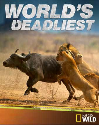 ¼Ƭɱ¾/Worlds Deadliest Born to Kill-Ļ