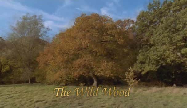 ¼ƬҰɭ/The Wild Wood-Ļ