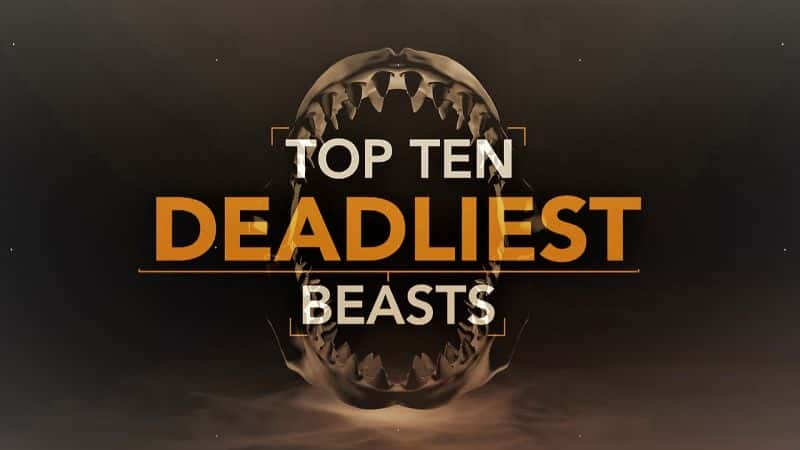 ¼ƬʮҰ/Top Ten Deadliest Beasts-Ļ