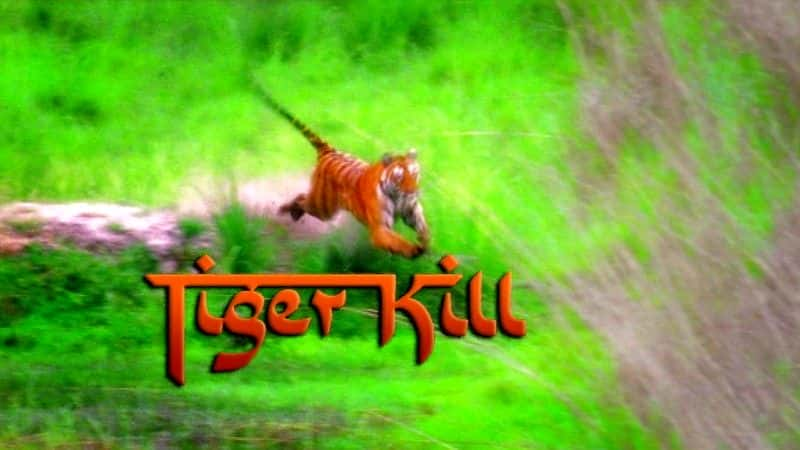 ¼Ƭϻɱ/Tiger Kill-Ļ