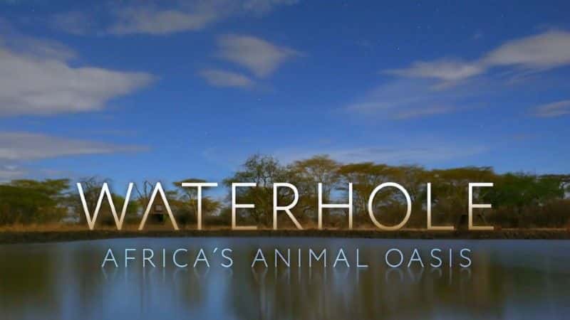 ¼Ƭˮ޵Ķ/Waterhole: Africa's Animal Oasis-Ļ
