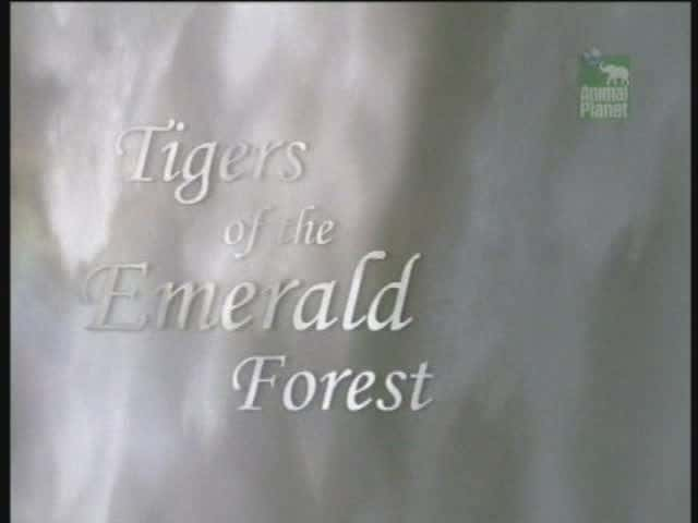 ¼Ƭɭֵϻ/Tigers of the Emerald Forest-Ļ