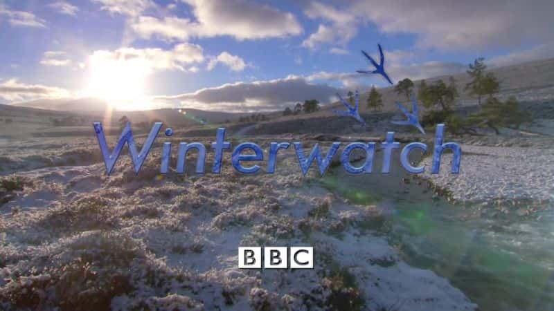 ¼Ƭ2014궬۲ֱ/Winterwatch Live 2014-Ļ