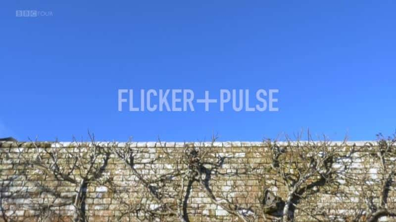 ¼ƬӢ԰һ꣺˸/A Year in an English Garden: Flicker and Pulse-Ļ