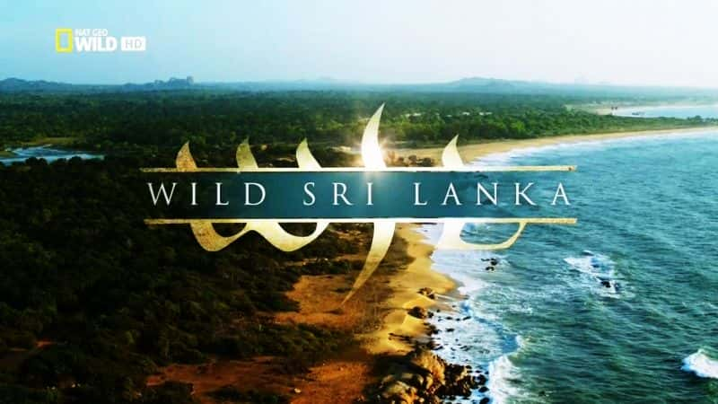 ¼ƬҰ˹/Wild Sri Lanka-Ļ