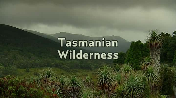 ¼Ƭ˹ǵĻҰ/Tasmanian Wilderness-Ļ