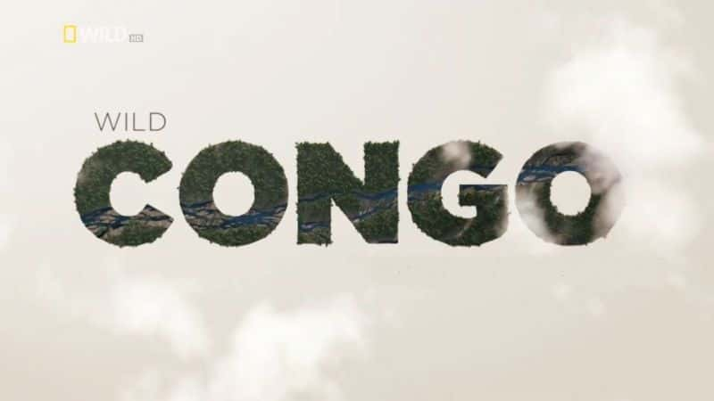 ¼ƬҰչ/Wild Congo-Ļ