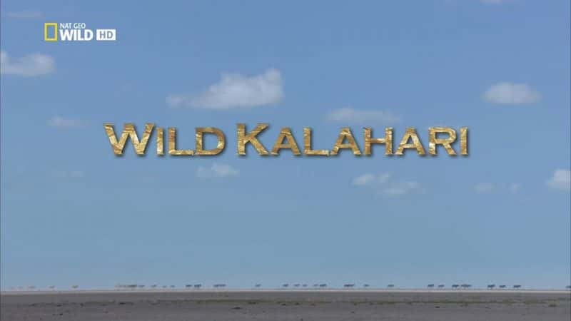 ¼ƬҰ/Wild Kalahari-Ļ