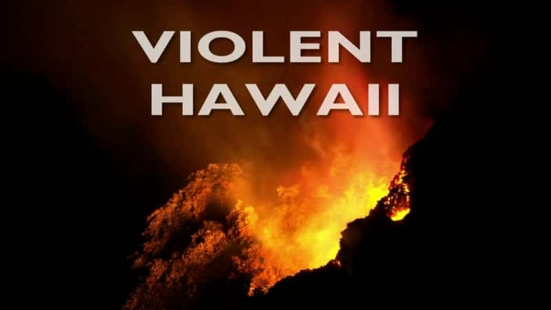 ¼Ƭ/Violent Hawaii-Ļ