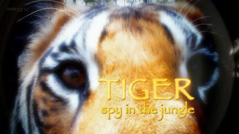 ¼Ƭϻּ/Tiger Spy in the Jungle-Ļ