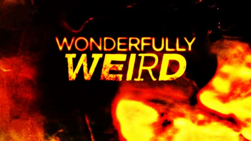 ¼Ƭ漣1/Wonderfully Weird: Series 1-Ļ