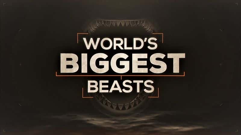 ¼ƬҰ1080/Worlds Biggest Beasts 1080-Ļ