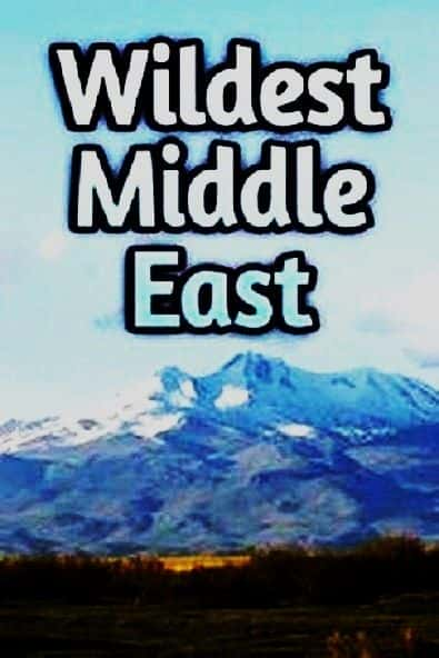 ¼ƬҰжϵ1/Wildest Middle East: Series 1-Ļ