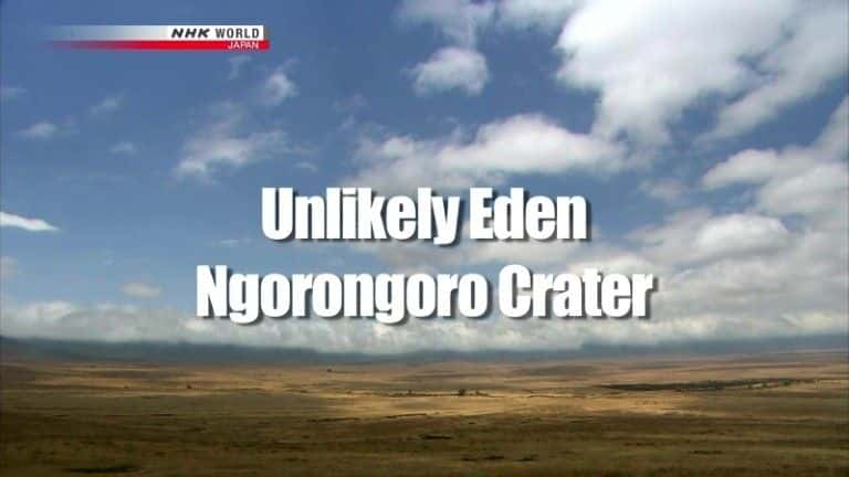 ¼Ƭ̫ܵ԰޶޻ɽ/Unlikely Eden: Ngorongoro Crater-Ļ