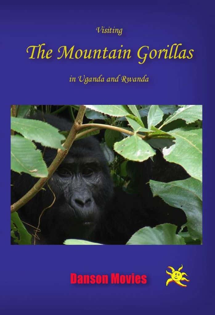 ¼Ƭڸɴ¬ιɽش/Visiting the Mountain Gorillas in Uganda and Rwanda-Ļ