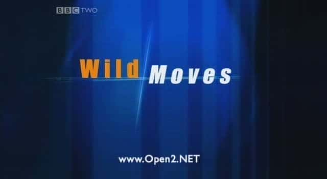 ¼ƬҰ/Wild Moves-Ļ