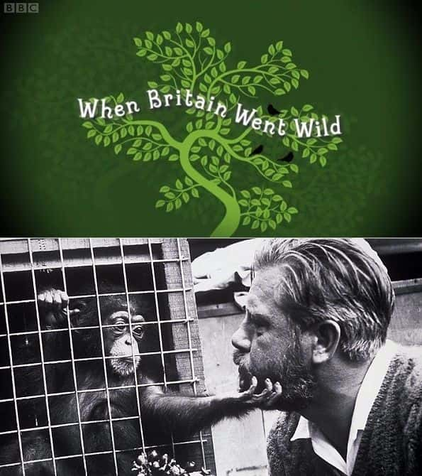 ¼ƬӢ÷/When Britain Went Wild-Ļ