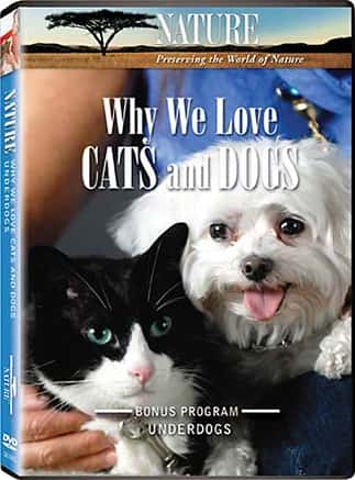 ¼ƬΪʲôǰè͹/Why We Love Cats and Dogs-Ļ