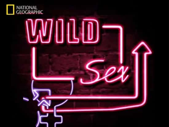 ¼ƬҰ԰/Wild Sex-Ļ