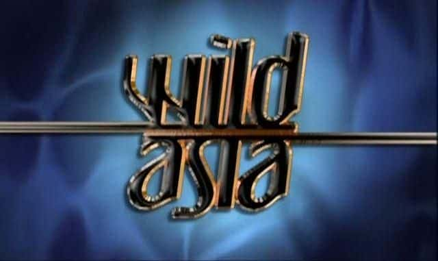 ¼ƬҰ/Wild Asia-Ļ