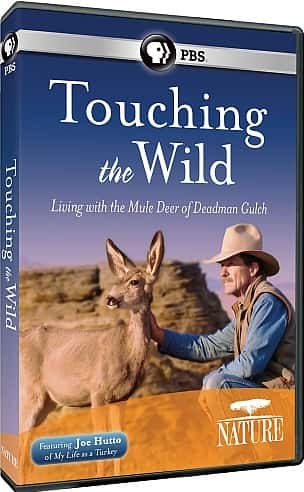 ¼ƬҰ-Ͽȵ¹ͬ/Touching the Wild - Living with the Mule Deer of Deadman Gulch-Ļ