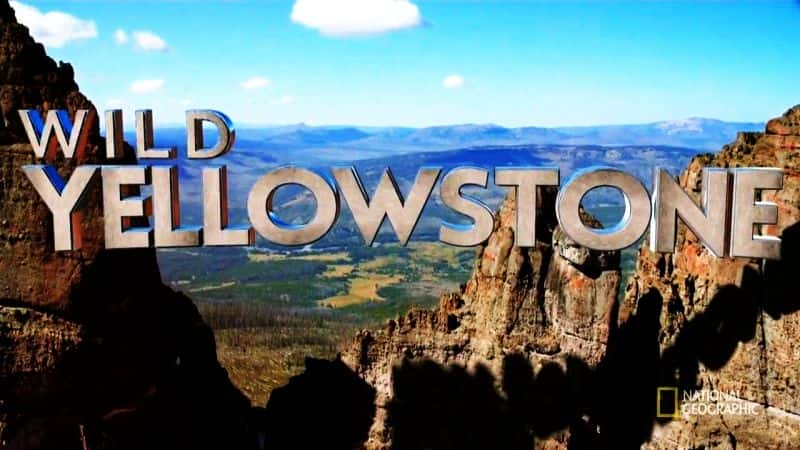 ¼ƬҰʯϵ1/Wild Yellowstone: Series 1-Ļ