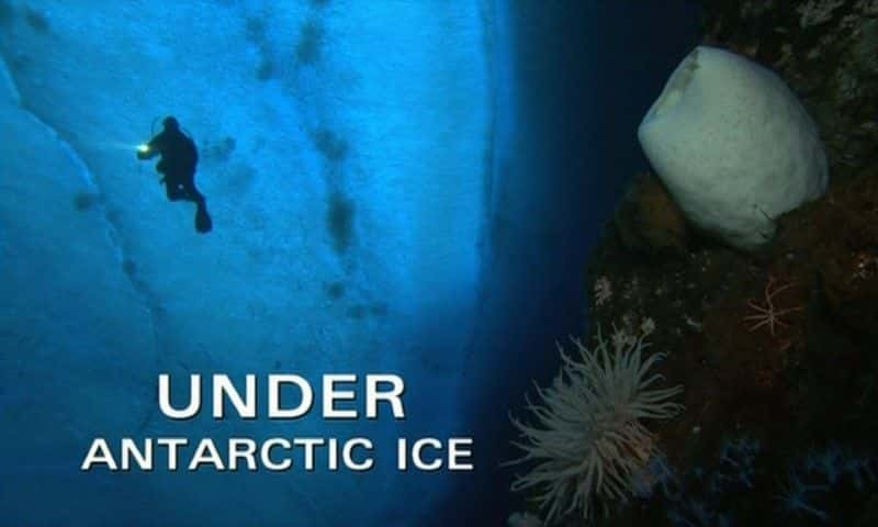 ¼Ƭϼ/Under Antarctic Ice-Ļ