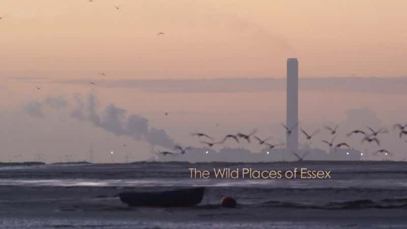 ¼Ƭ˹Ұ֮/The Wild Places of Essex-Ļ