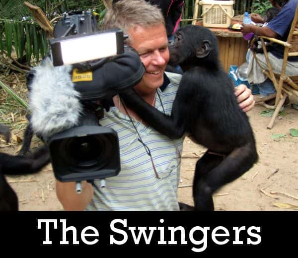 ¼Ƭҡ/The Swingers-Ļ