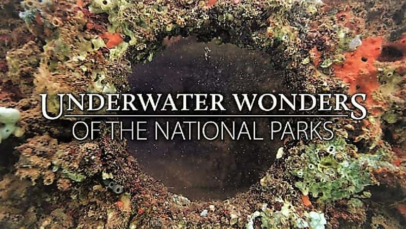 ¼Ƭҹ԰ˮ/Underwater Wonders of the National Parks-Ļ