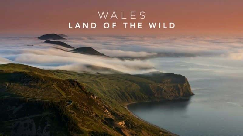 ¼ƬʿҰ֮/Wales: Land of the Wild-Ļ