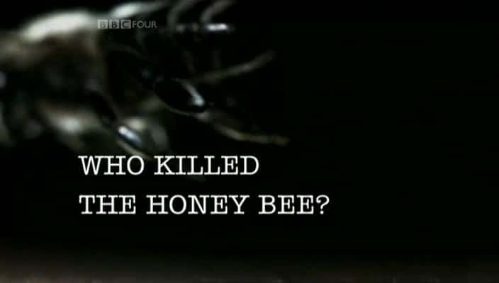 ¼Ƭ˭ɱ۷/Who Killed the Honey Bee-Ļ