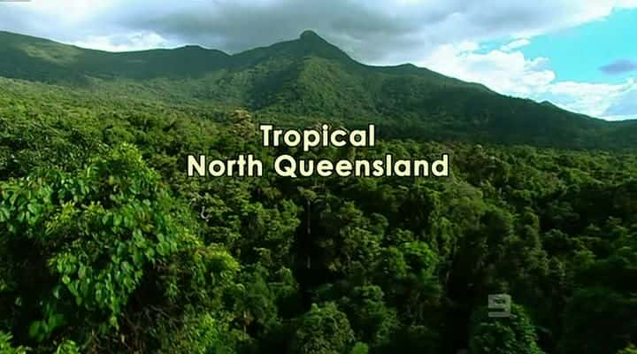 ¼Ƭȴʿ/Tropical North Queensland-Ļ