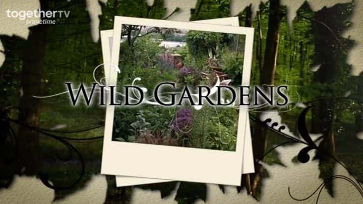 ¼ƬҰ԰/Wild Gardens-Ļ