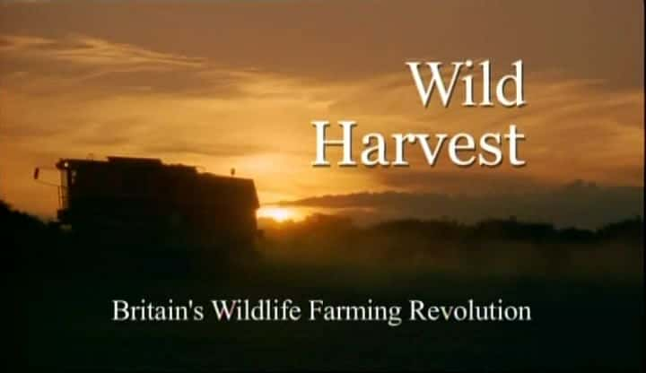 ¼ƬҰջ/Wild Harvest-Ļ