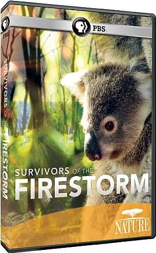 ¼ƬҴ/Survivors of the Firestorm-Ļ