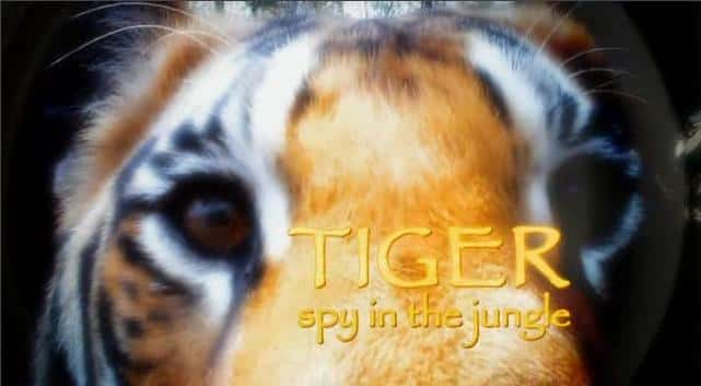 ¼Ƭϻ - еļ/Tiger - Spy in the Jungle-Ļ