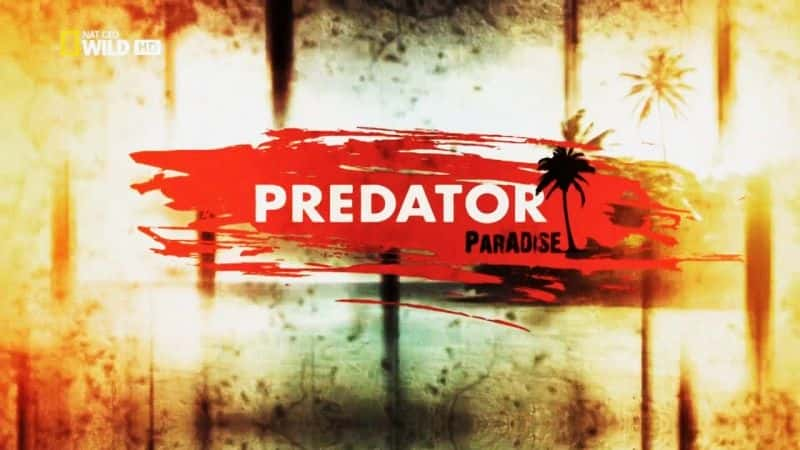 ¼Ƭģʳ/World's Deadliest: Predator Paradise-Ļ