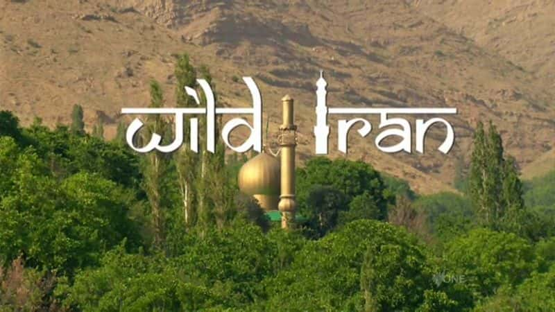 ¼ƬҰ/Wild Iran-Ļ