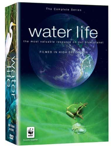 ¼Ƭˮ/Water Life-Ļ