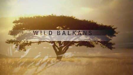 ¼ƬҰͶ/Wild Balkans-Ļ