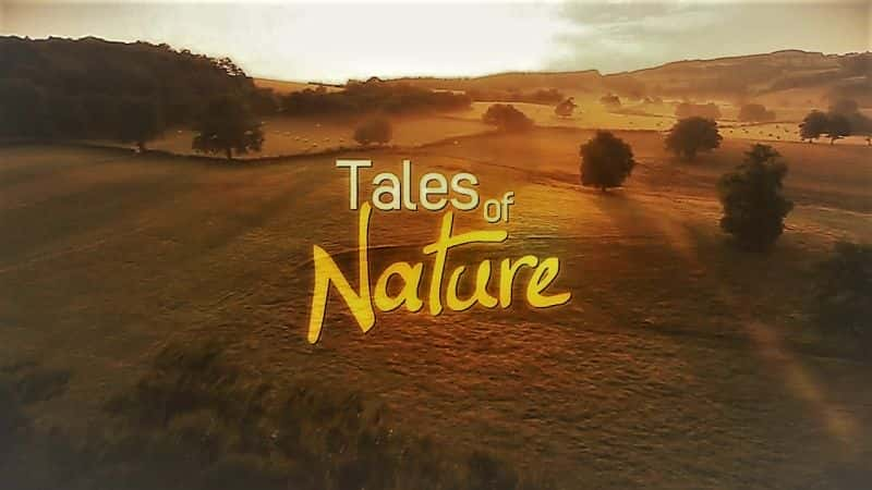 ¼ƬȻ£һ/Tales of Nature: Series 1-Ļ