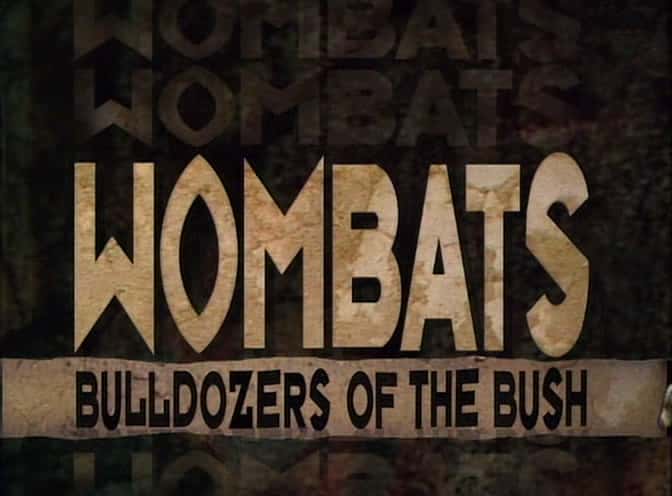 ¼Ƭ-ֵ/Wombats - Bulldozers of the Bush-Ļ