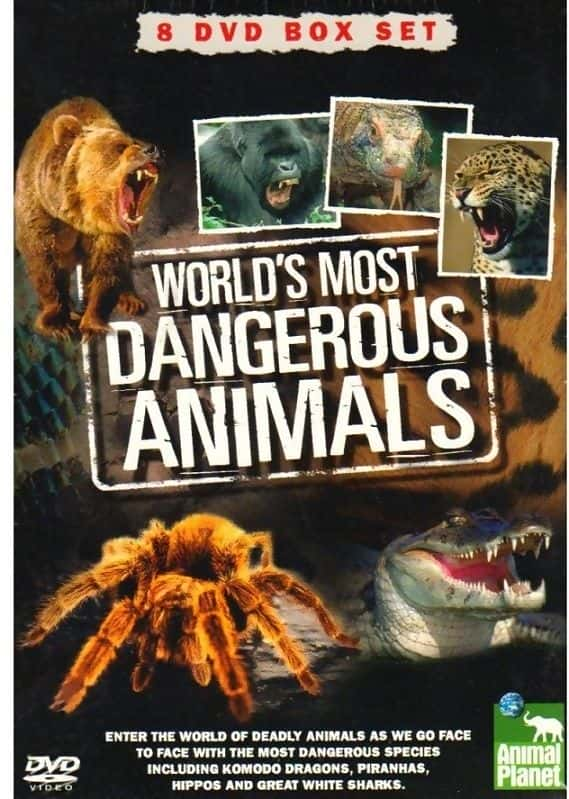 ¼ƬΣյĶ/World's Most Dangerous Animals-Ļ