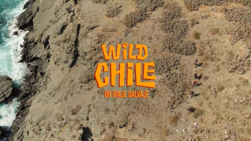 ¼ƬҰϵ1/Wild Chile: Series 1-Ļ