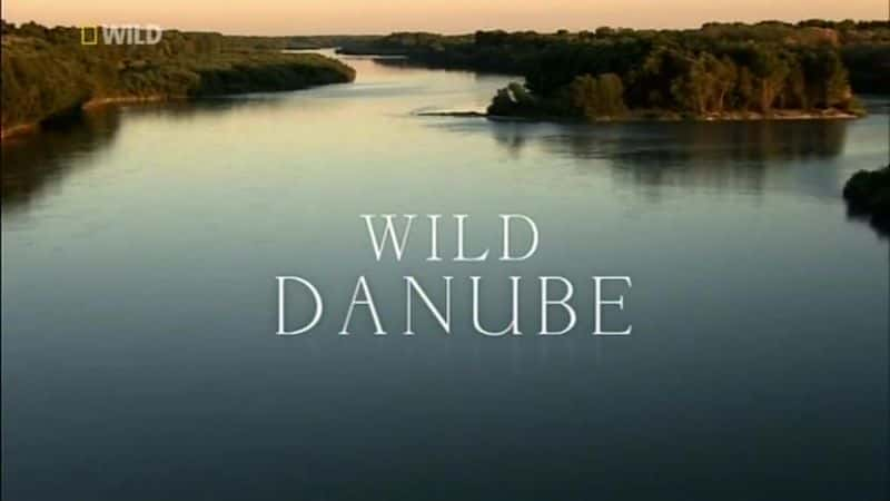 ¼ƬҰ觺/Wild Danube-Ļ